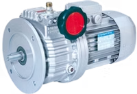 V - Mechanical Variable Speed Drive